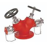 Double Headed Landing Valve