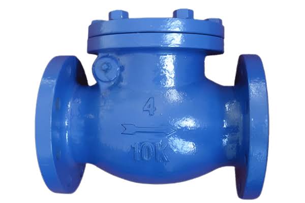 Swing Check Valve